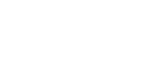 Platinum Storage Group logo